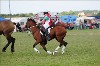 UKPA NC SAT_2811